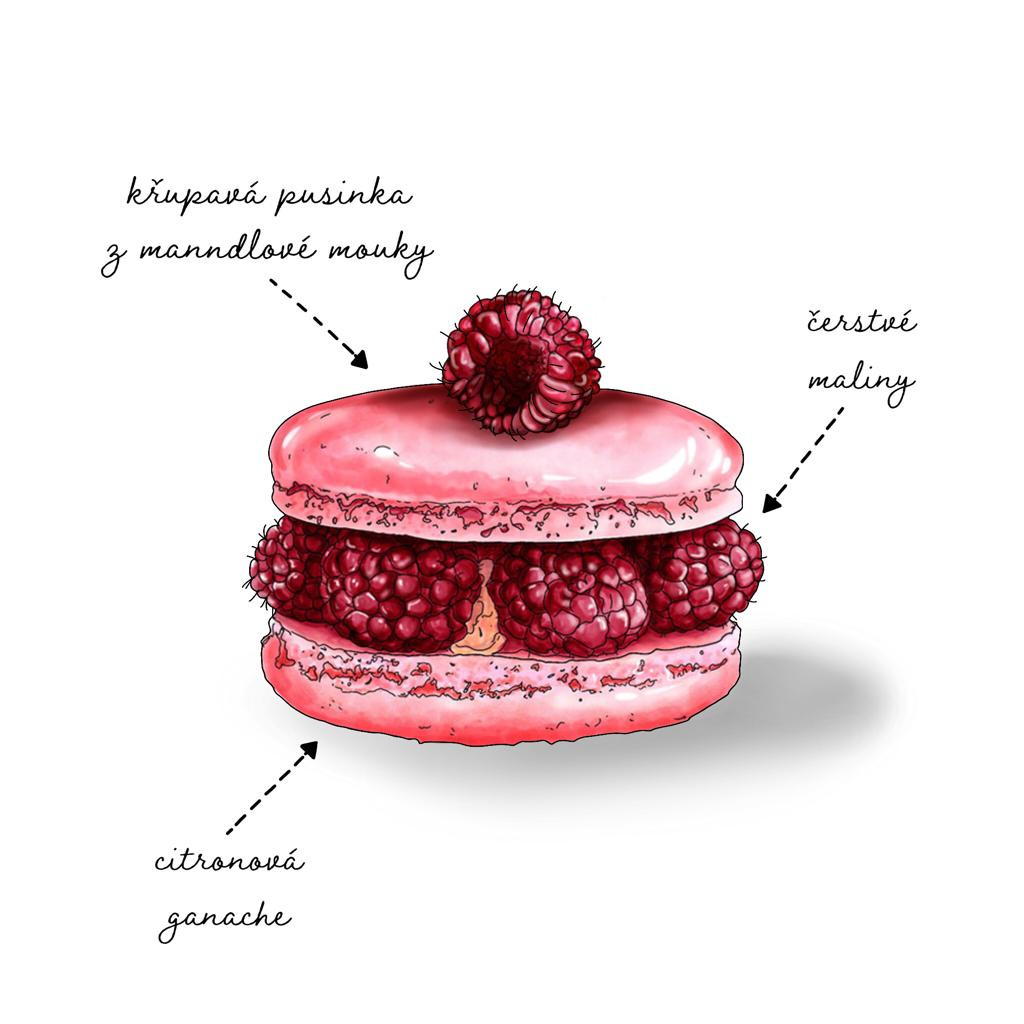 XXL Macaron