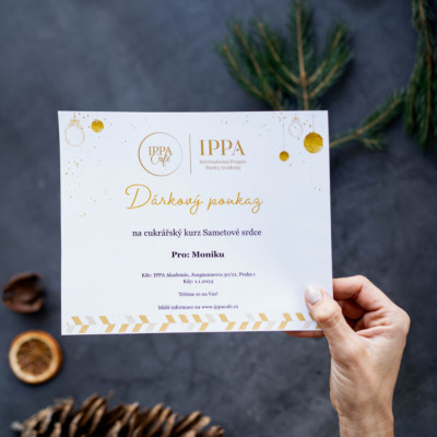 Kurz pro začátečníky v IPPA Akademii