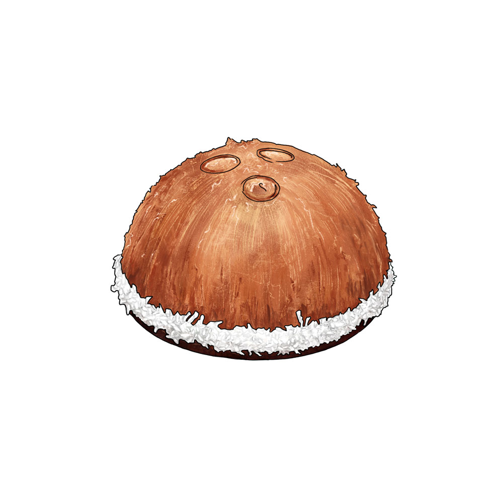 Kokos