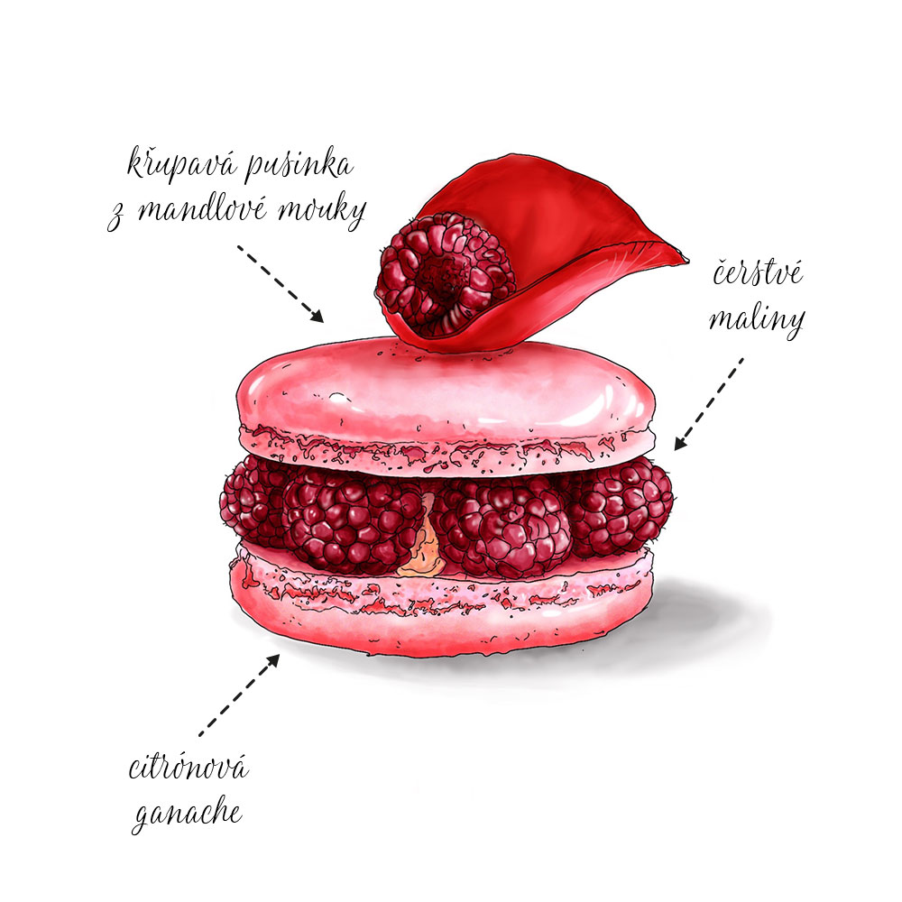 XXL Macaron